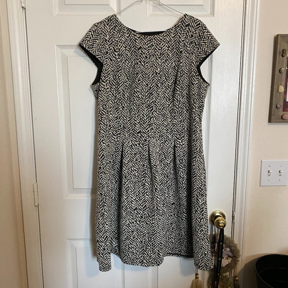 AB Studio Black and White Professional Dress